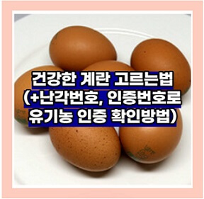 건강하고-행복한계란-고르는방법-난각번호-유기농인증번호와-동물복지인증번호-확인하는법