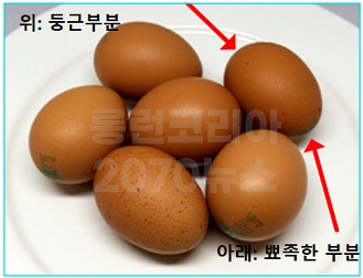 계란-둥근부분을-위쪽으로놓아야한다