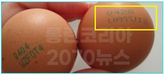 계란난각번호