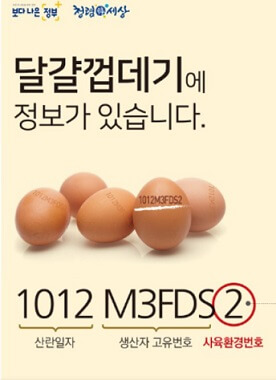 달걀껍데기에-있는-정보